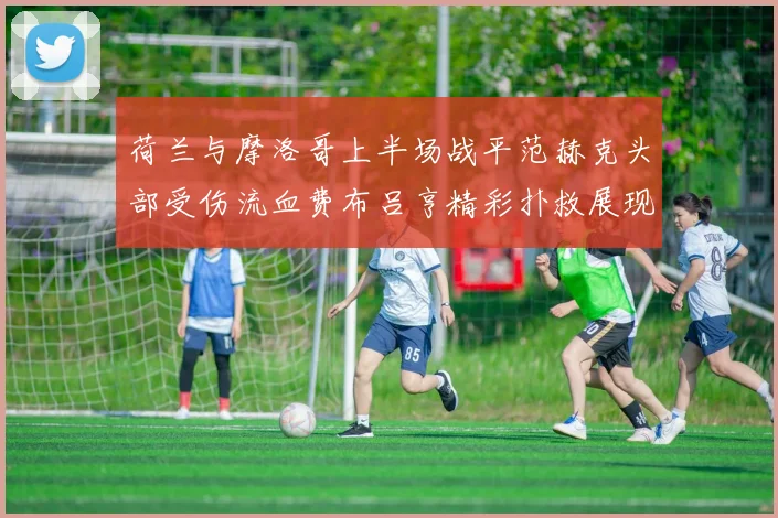 荷兰与摩洛哥上半场战平范赫克头部受伤流血费布吕亨精彩扑救展现实力